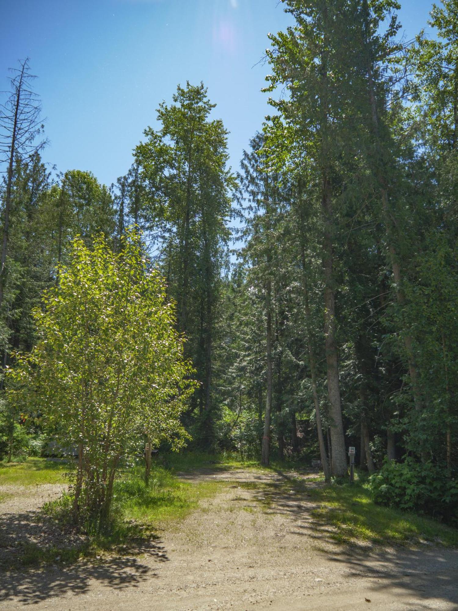 Noah'S Ark Campground Revelstoke Exterior foto