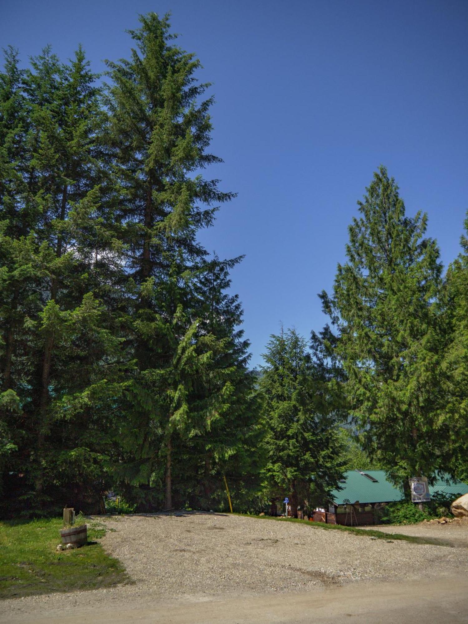 Noah'S Ark Campground Revelstoke Exterior foto